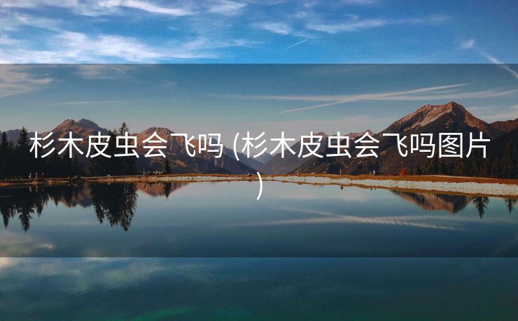 杉木皮虫会飞吗 (杉木皮虫会飞吗图片)