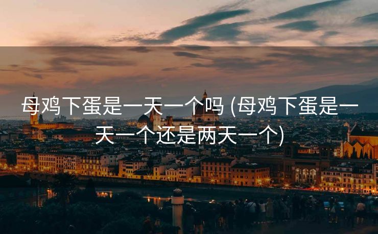 母鸡下蛋是一天一个吗 (母鸡下蛋是一天一个还是两天一个)