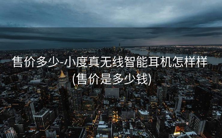 售价多少-小度真无线智能耳机怎样样 (售价是多少钱)