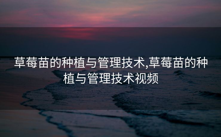 草莓苗的种植与管理技术,草莓苗的种植与管理技术视频