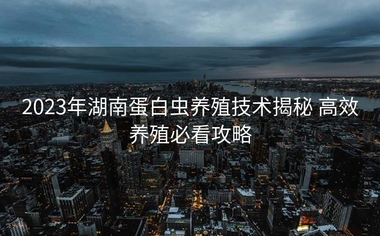 2023年湖南蛋白虫养殖技术揭秘 高效养殖必看攻略