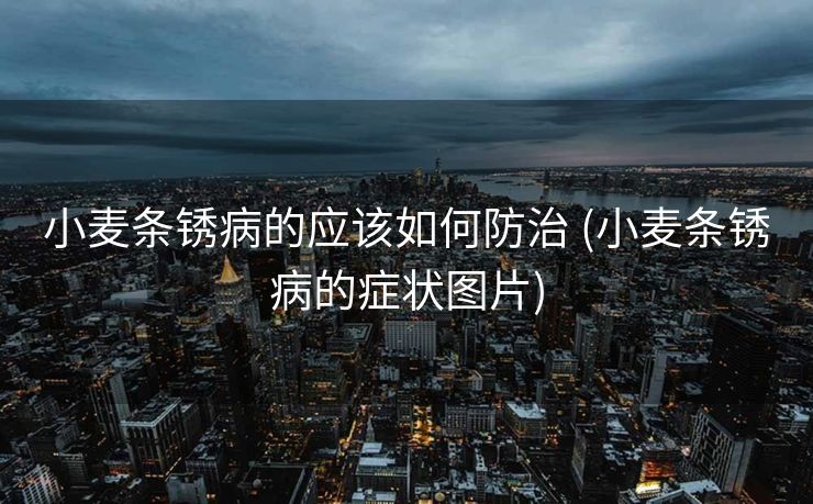 小麦条锈病的应该如何防治 (小麦条锈病的症状图片)