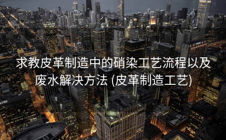 求教皮革制造中的硝染工艺流程以及废水解决方法 (皮革制造工艺)
