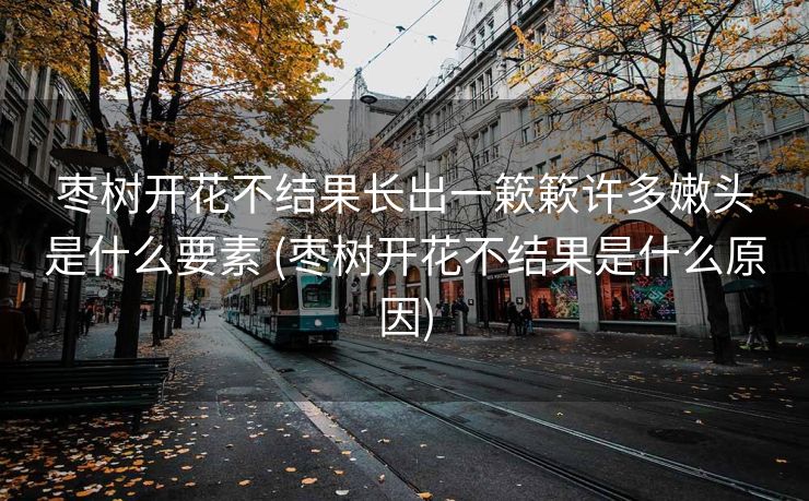 枣树开花不结果长出一簌簌许多嫩头是什么要素 (枣树开花不结果是什么原因)