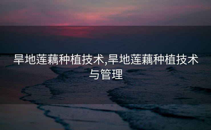 旱地莲藕种植技术,旱地莲藕种植技术与管理 旱地莲藕种植技术,旱地莲藕种植技术与管理