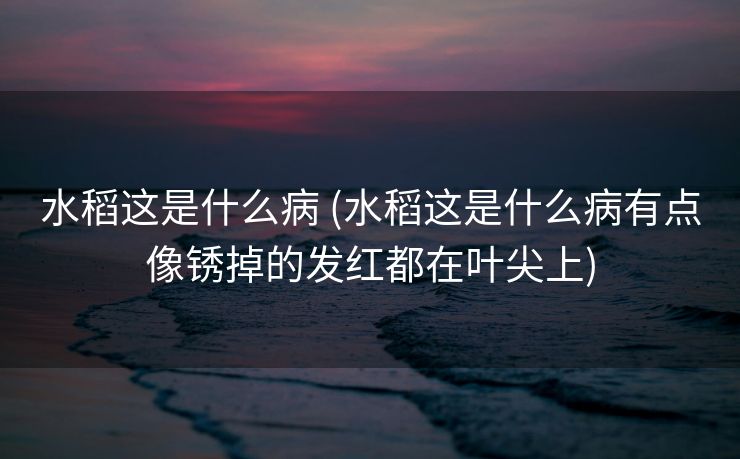 水稻这是什么病 (水稻这是什么病有点像锈掉的发红都在叶尖上)