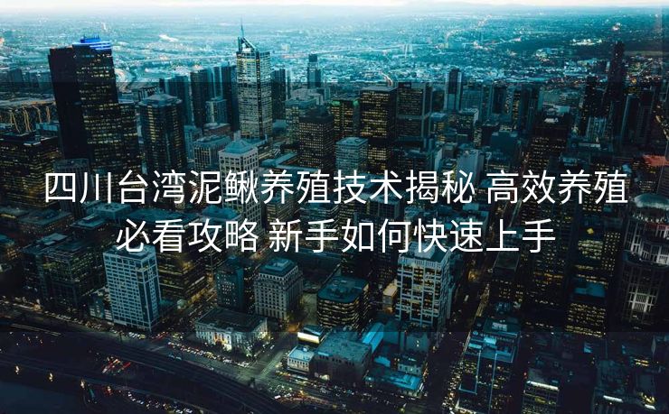 四川台湾泥鳅养殖技术揭秘 高效养殖必看攻略 新手如何快速上手