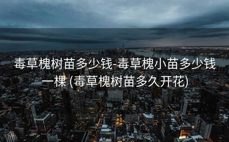 毒草槐树苗多少钱-毒草槐小苗多少钱一棵 (毒草槐树苗多久开花)