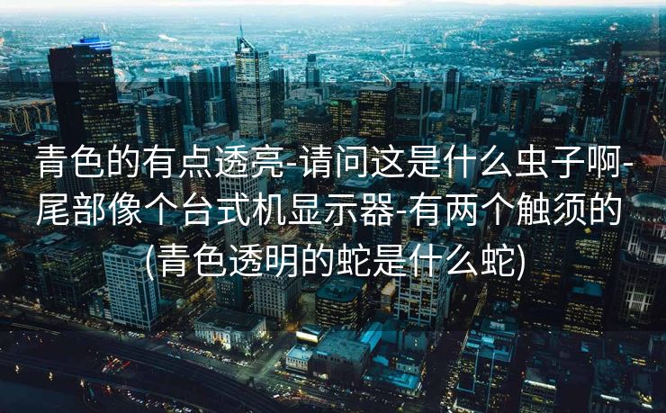 青色的有点透亮-请问这是什么虫子啊-尾部像个台式机显示器-有两个触须的 (青色透明的蛇是什么蛇)