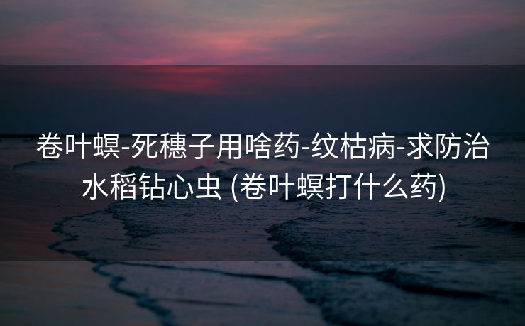 卷叶螟-死穗子用啥药-纹枯病-求防治水稻钻心虫 (卷叶螟打什么药)