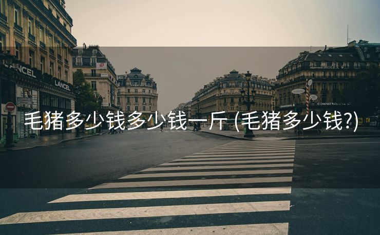 毛猪多少钱多少钱一斤 (毛猪多少钱?)