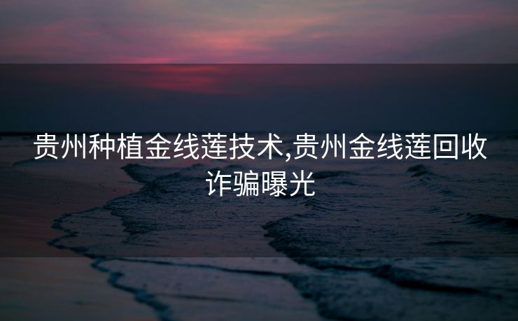 贵州种植金线莲技术,贵州金线莲回收诈骗曝光