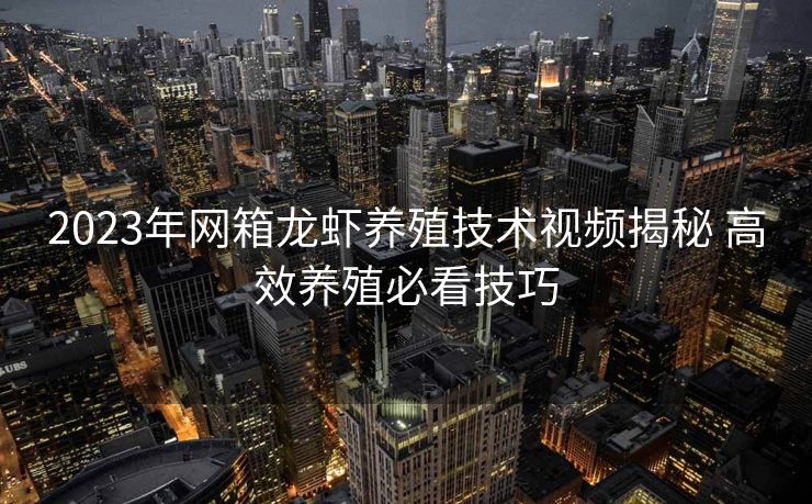 2023年网箱龙虾养殖技术视频揭秘 高效养殖必看技巧