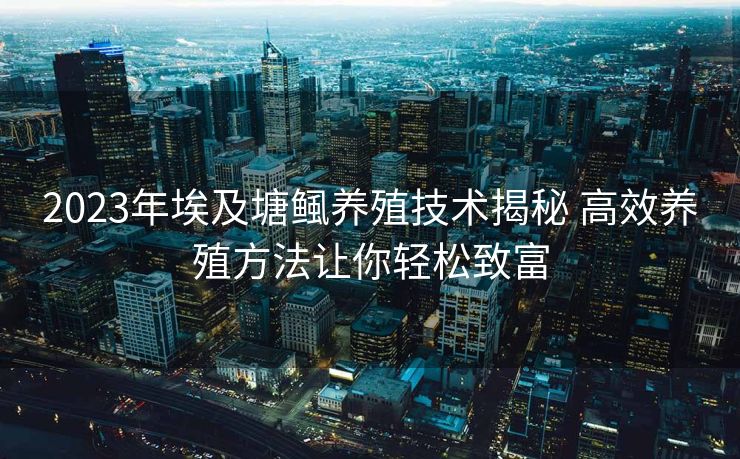 2023年埃及塘鲺养殖技术揭秘 高效养殖方法让你轻松致富