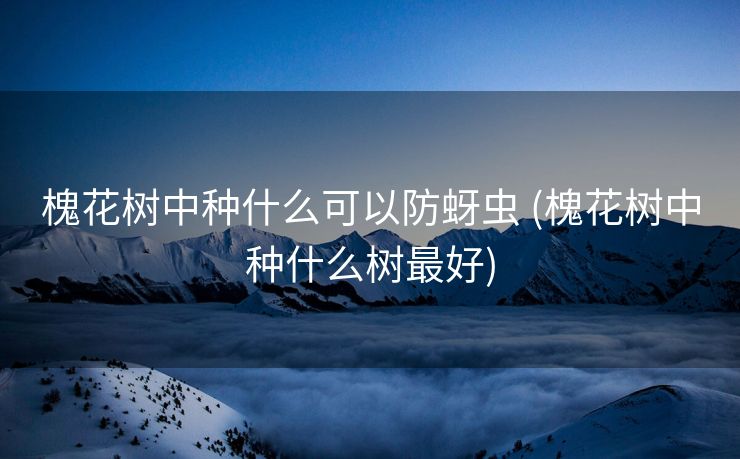 槐花树中种什么可以防蚜虫 (槐花树中种什么树最好)