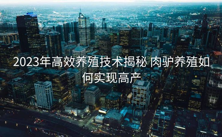 2023年高效养殖技术揭秘 肉驴养殖如何实现高产