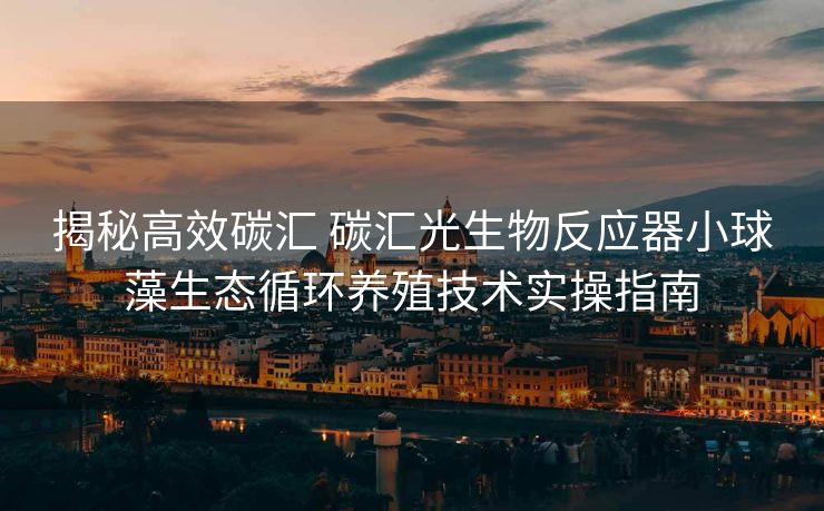 揭秘高效碳汇 碳汇光生物反应器小球藻生态循环养殖技术实操指南