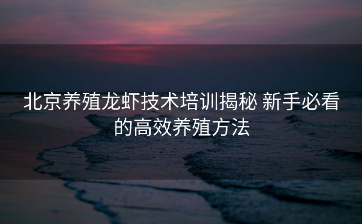 北京养殖龙虾技术培训揭秘 新手必看的高效养殖方法