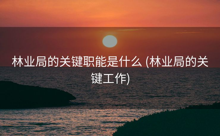 林业局的关键职能是什么 (林业局的关键工作)