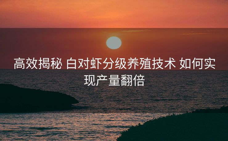 高效揭秘 白对虾分级养殖技术 如何实现产量翻倍 高效揭秘 白对虾分级养殖技术 如何实现产量翻倍