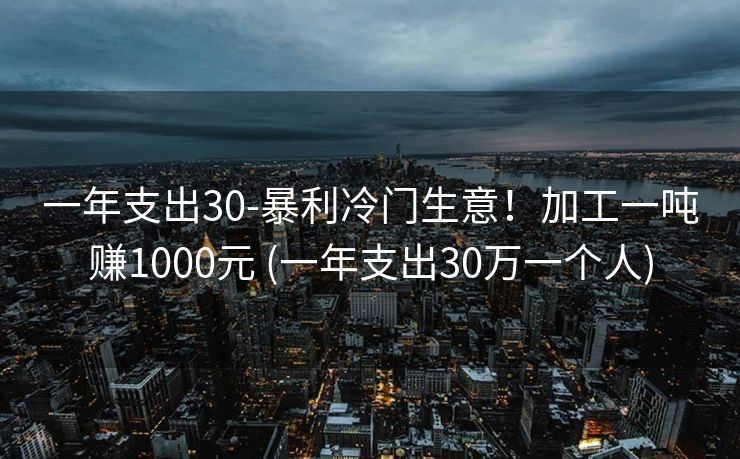 一年支出30-暴利冷门生意！加工一吨赚1000元 (一年支出30万一个人)