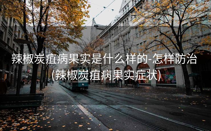 辣椒炭疽病果实是什么样的-怎样防治 (辣椒炭疽病果实症状)