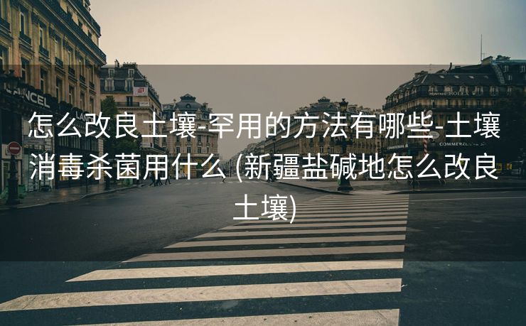 怎么改良土壤-罕用的方法有哪些-土壤消毒杀菌用什么 (新疆盐碱地怎么改良土壤)