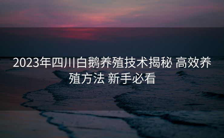 2023年四川白鹅养殖技术揭秘 高效养殖方法 新手必看