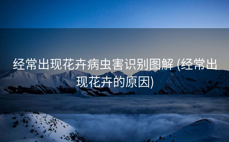 经常出现花卉病虫害识别图解 (经常出现花卉的原因)