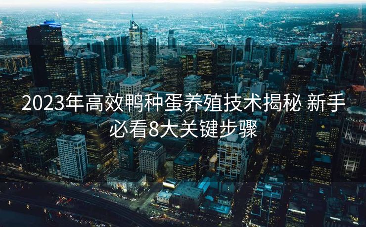 2023年高效鸭种蛋养殖技术揭秘 新手必看8大关键步骤