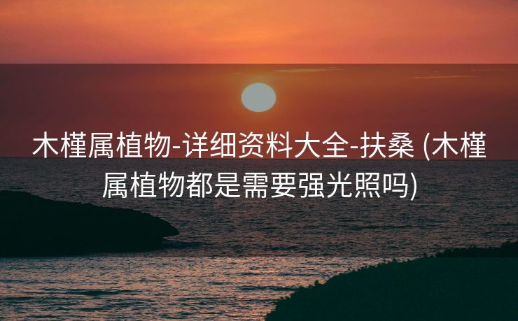 木槿属植物-详细资料大全-扶桑 (木槿属植物都是需要强光照吗)