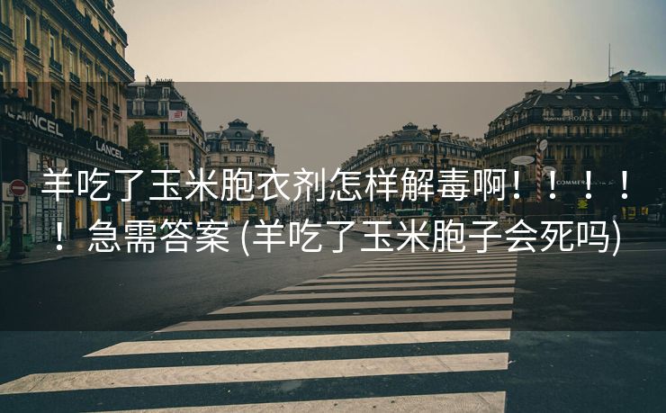 羊吃了玉米胞衣剂怎样解毒啊！！！！！急需答案 (羊吃了玉米胞子会死吗)