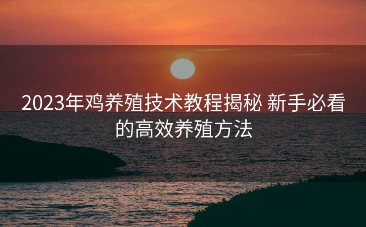 2023年鸡养殖技术教程揭秘 新手必看的高效养殖方法
