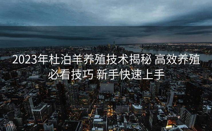 2023年杜泊羊养殖技术揭秘 高效养殖必看技巧 新手快速上手