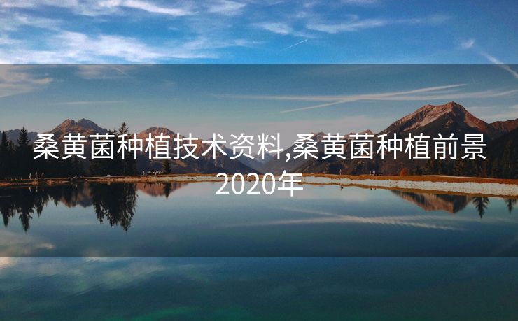 桑黄菌种植技术资料,桑黄菌种植前景2020年