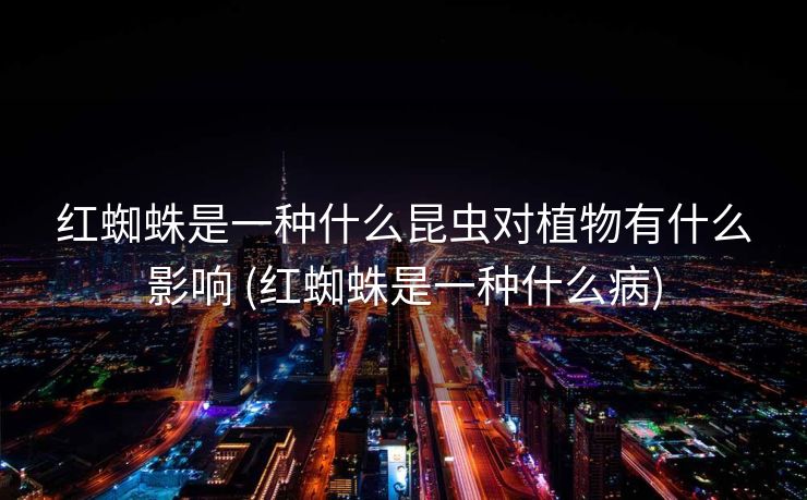 红蜘蛛是一种什么昆虫对植物有什么影响 (红蜘蛛是一种什么病)