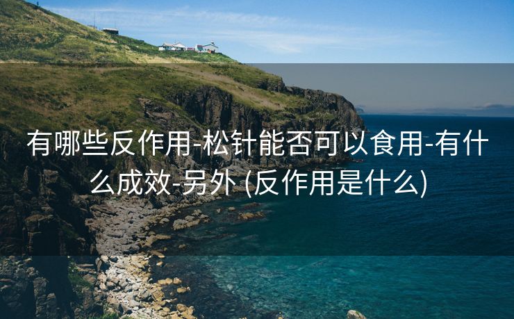 有哪些反作用-松针能否可以食用-有什么成效-另外 (反作用是什么)