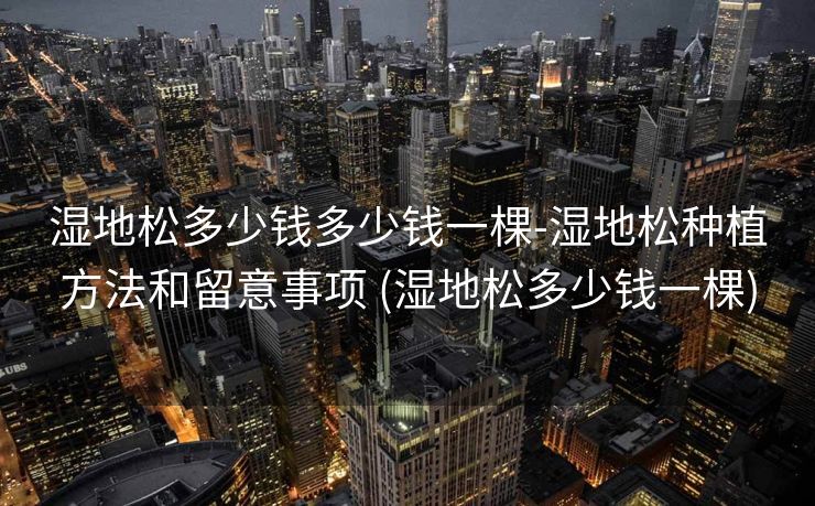 湿地松多少钱多少钱一棵-湿地松种植方法和留意事项 (湿地松多少钱一棵)