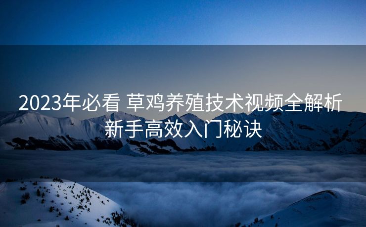 2023年必看 草鸡养殖技术视频全解析 新手高效入门秘诀