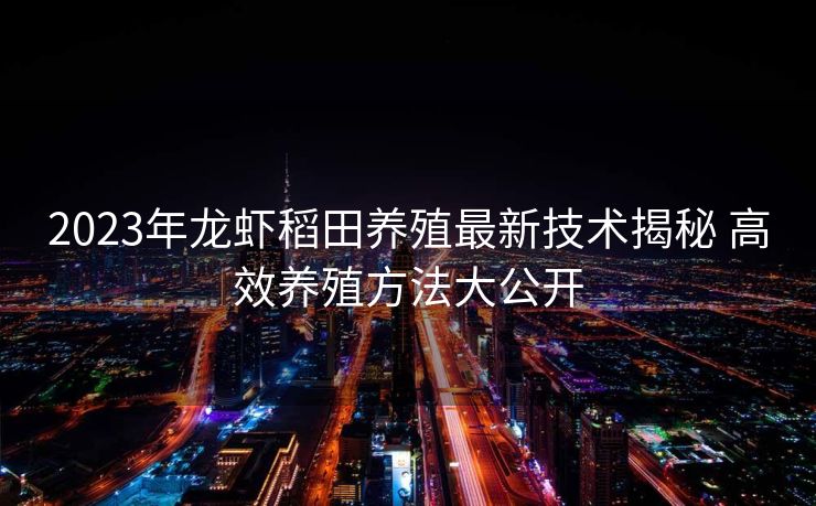 2023年龙虾稻田养殖最新技术揭秘 高效养殖方法大公开