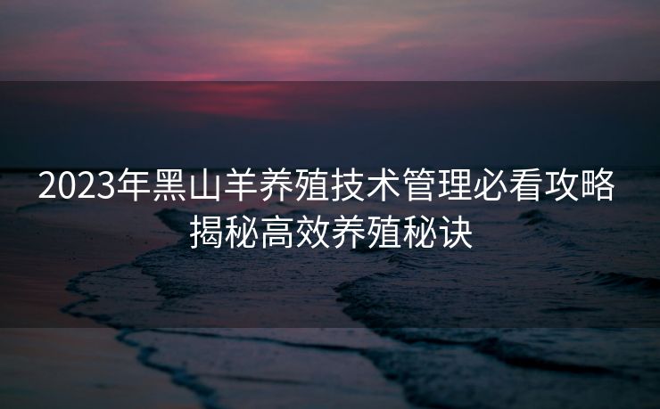 2023年黑山羊养殖技术管理必看攻略 揭秘高效养殖秘诀