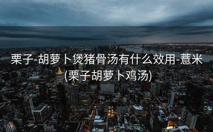 栗子-胡萝卜煲猪骨汤有什么效用-薏米 (栗子胡萝卜鸡汤)