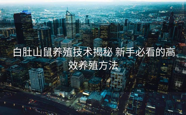 白肚山鼠养殖技术揭秘 新手必看的高效养殖方法