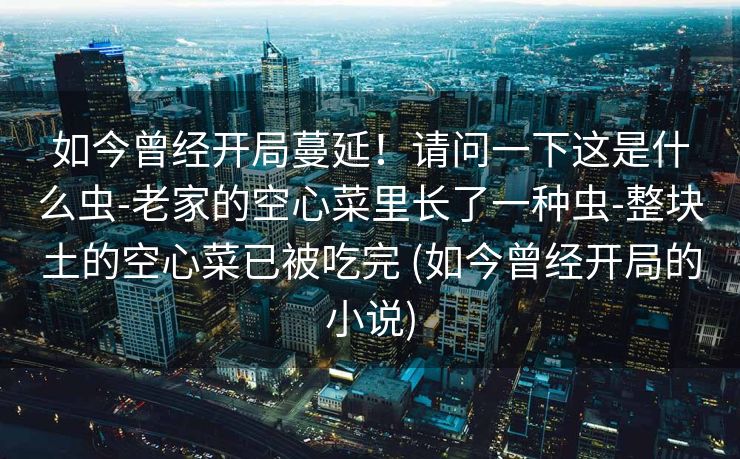 如今曾经开局蔓延！请问一下这是什么虫-老家的空心菜里长了一种虫-整块土的空心菜已被吃完 (如今曾经开局的小说)