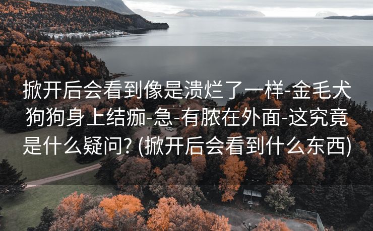 掀开后会看到像是溃烂了一样-金毛犬狗狗身上结痂-急-有脓在外面-这究竟是什么疑问? (掀开后会看到什么东西)