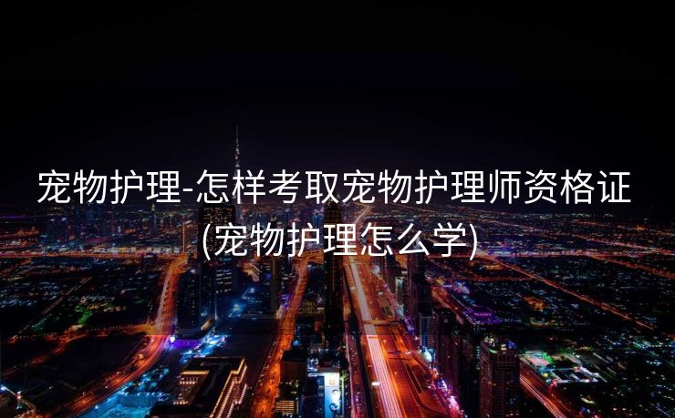 宠物护理-怎样考取宠物护理师资格证 (宠物护理怎么学)