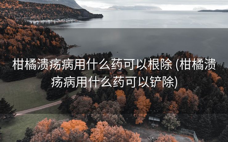 柑橘溃疡病用什么药可以根除 (柑橘溃疡病用什么药可以铲除)
