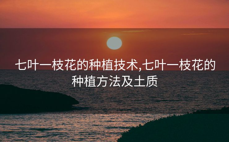 七叶一枝花的种植技术,七叶一枝花的种植方法及土质