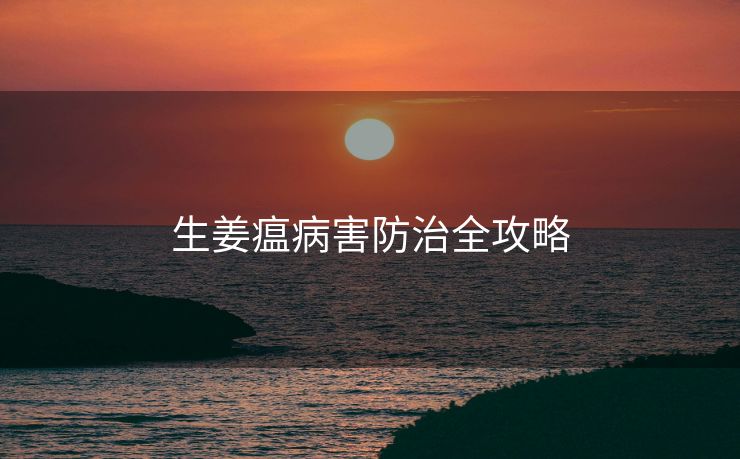 生姜瘟病害防治全攻略