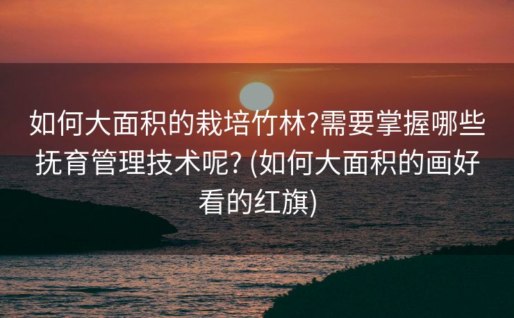 如何大面积的栽培竹林?需要掌握哪些抚育管理技术呢? (如何大面积的画好看的红旗)